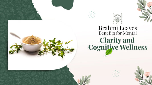 Brahmi Leaves Benefits